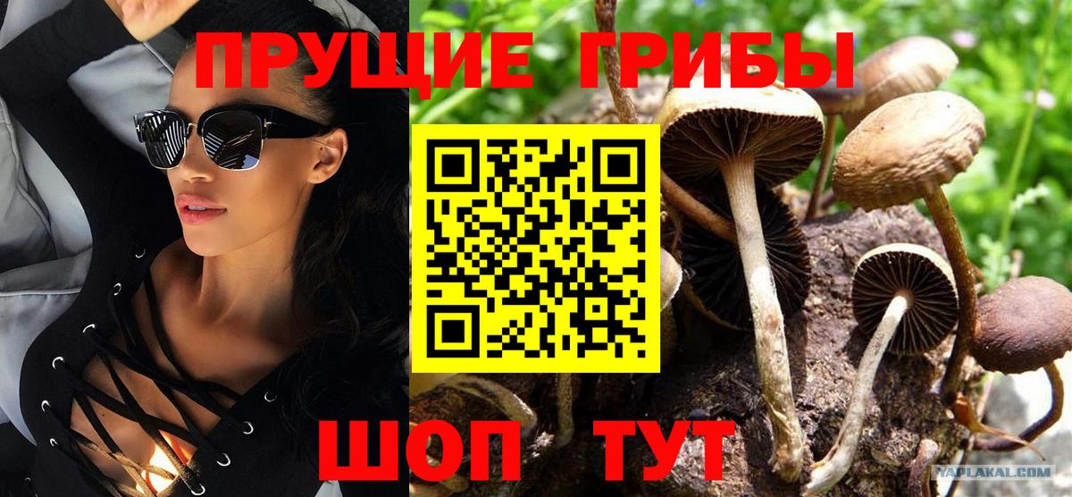 купить   Галлюциногенные грибы прущие грибы  Вход с VPN  Первоуральск 