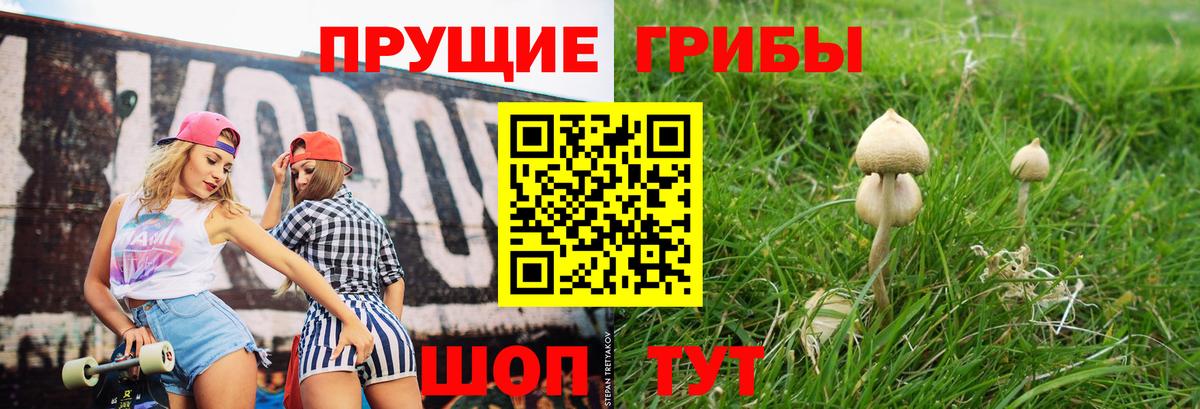 Галлюциногенные грибы Magic Shrooms Первоуральск